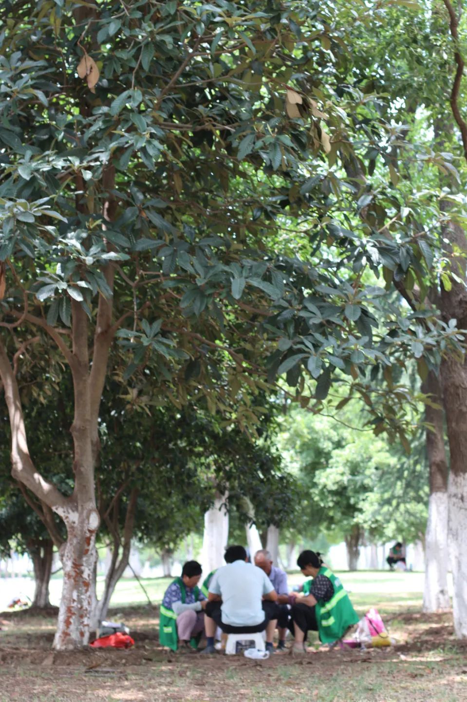 合肥滨湖新区历史房价涨幅,合肥涨幅最高的区域