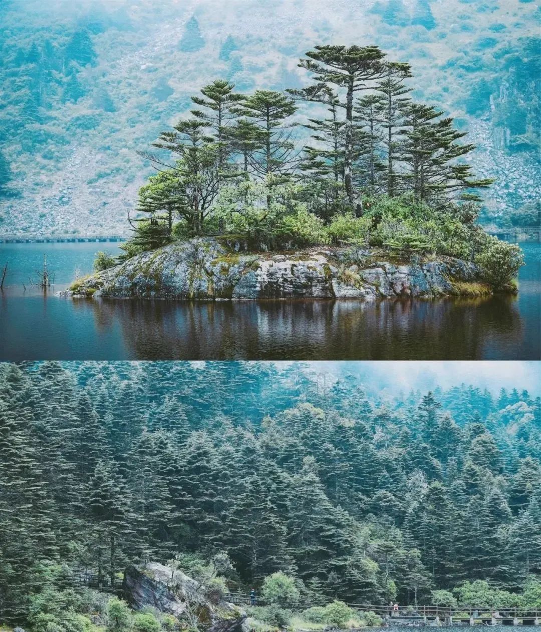 四川旅游攻略56人团,四川旅游4天3晚旅游攻略请收藏