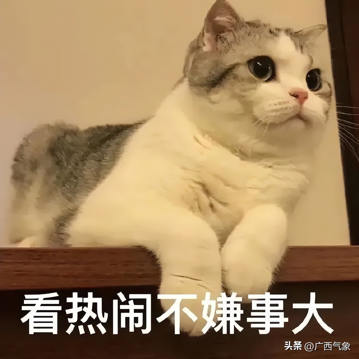 2023绉嬪垎澶╂皵浼氳浆鍑夊悧,鏄庢棩绉嬪垎鍏ㄥ浗鍚勭渷澶╂皵