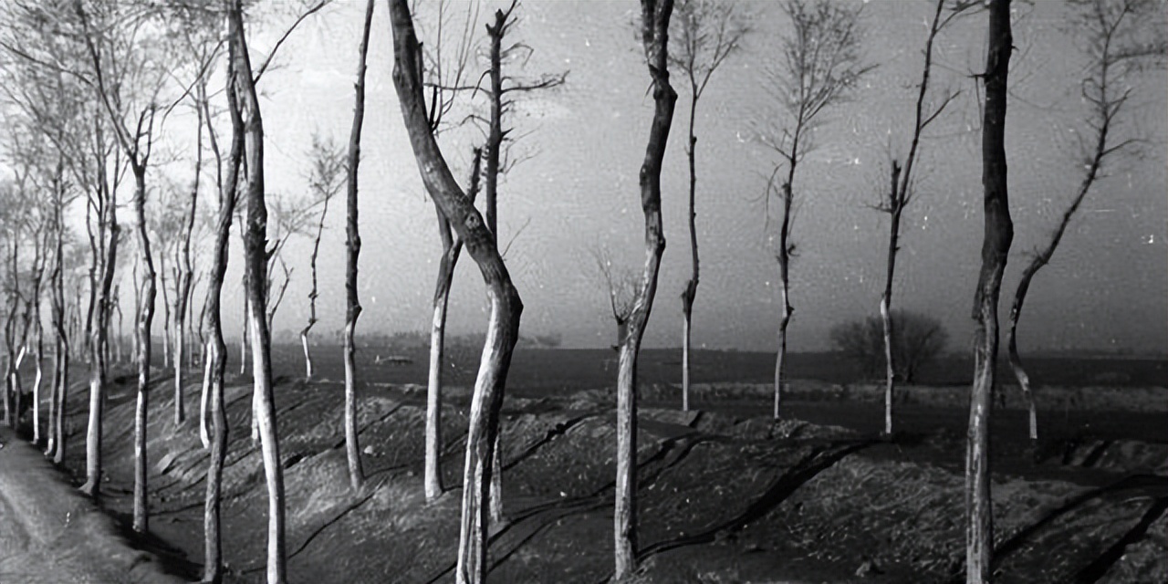 民国民不聊生的年代,民国饥荒尸横遍野