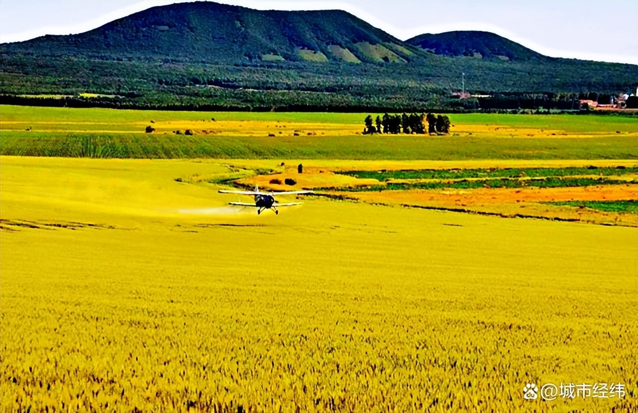 全国产粮大省排名榜,全国各省产粮大省排名