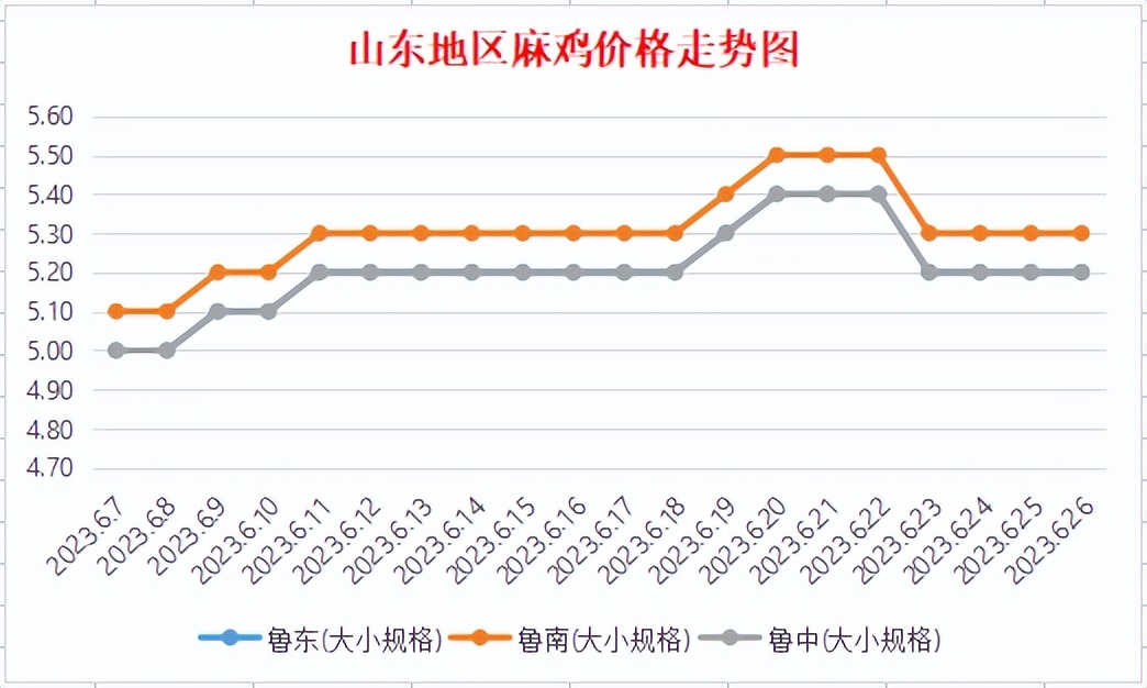 青脚麻小鸡苗每日报价,今日麻鸡母苗最新价目表