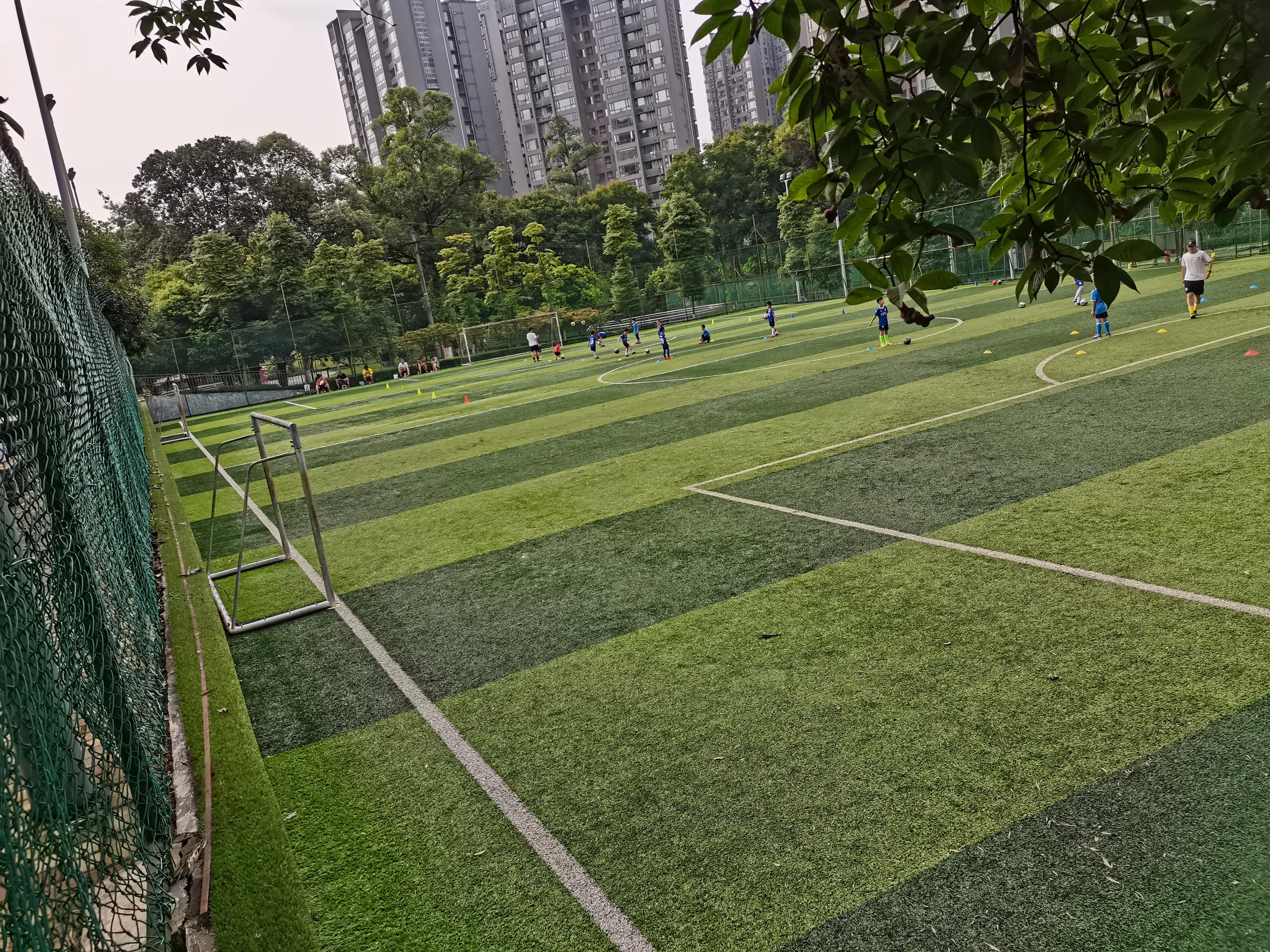 成都环境比较好的区域,成都的城市环境