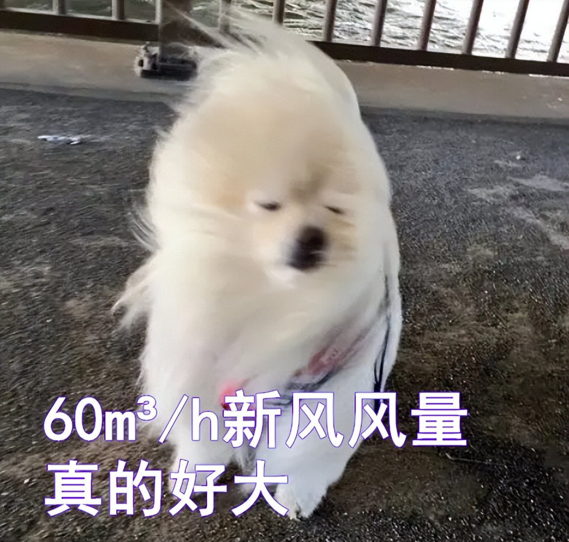 新风空调到底好不好,新风空调到底值不值得买