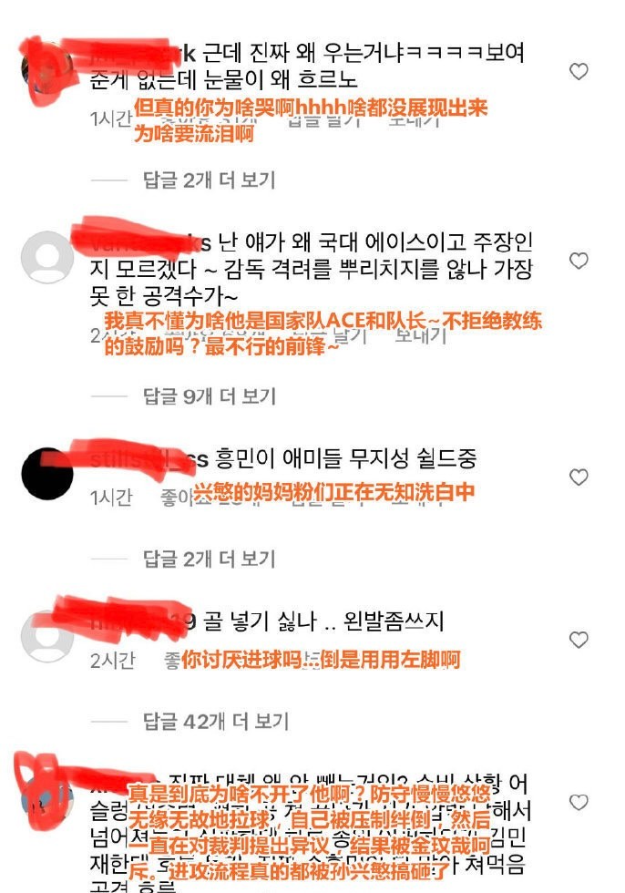 韩国球迷评价孙兴慜,孙兴慜遭韩国网民网暴