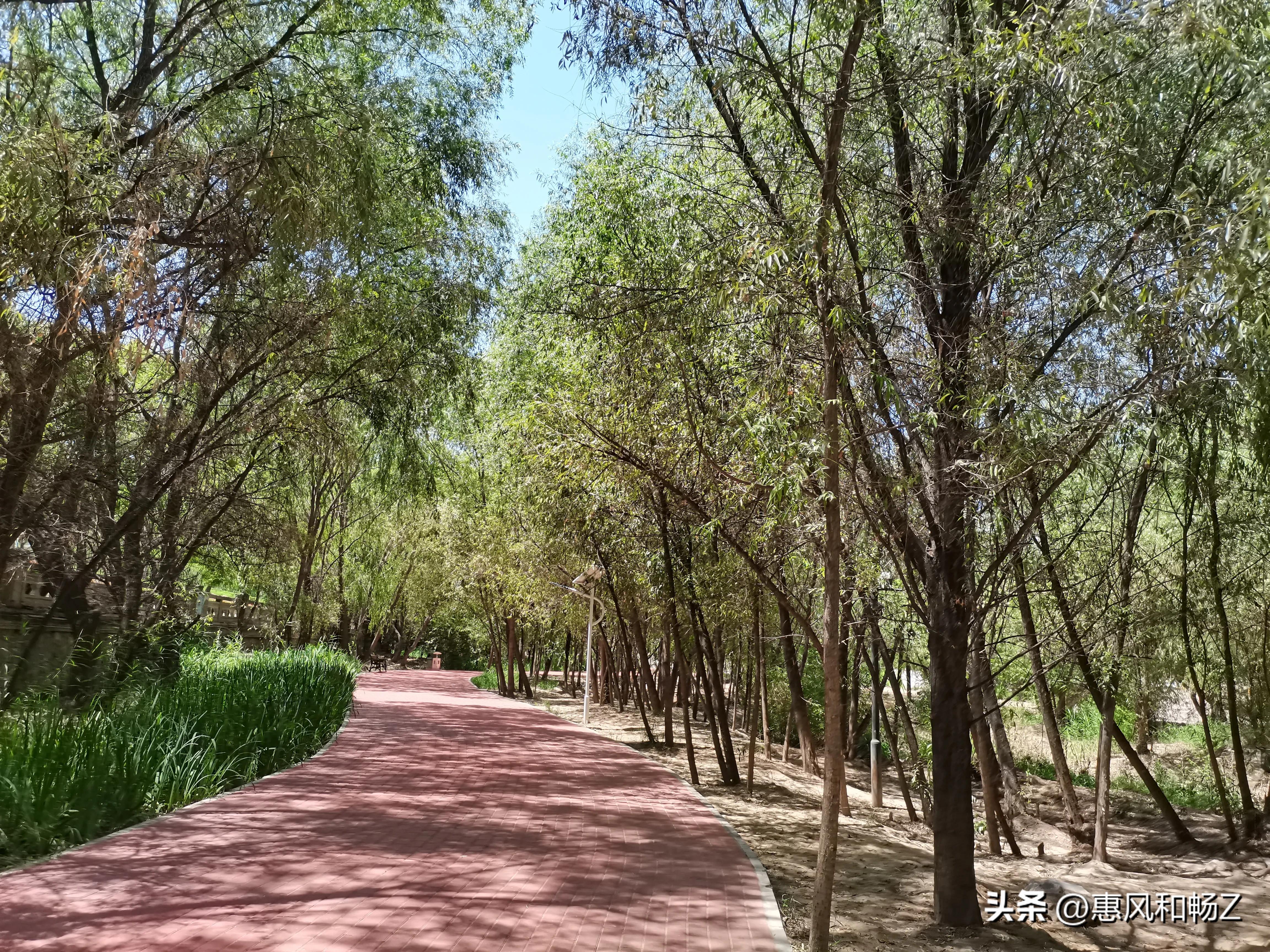 鏈夊緱蹇呮湁澶辨垜涓嶅鎬曞け鍘讳换浣曚汉,鏈夊緱蹇呮湁澶卞緱瓒婂澶卞幓鏇村