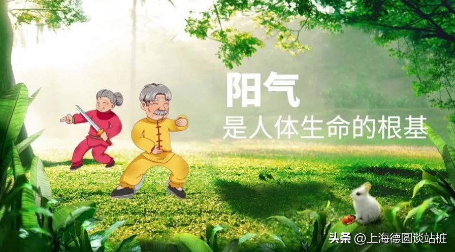 阳气与站桩锻炼|德圆谈站桩系列四十六
