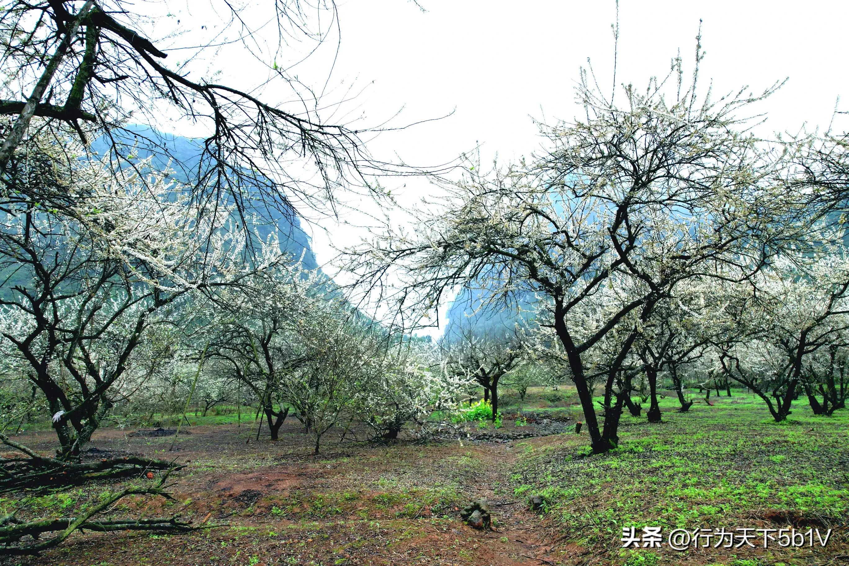 【平乐十里画廊鬼斧神工伟人石像】穿越唐*平宋**乐榕津千年古镇！