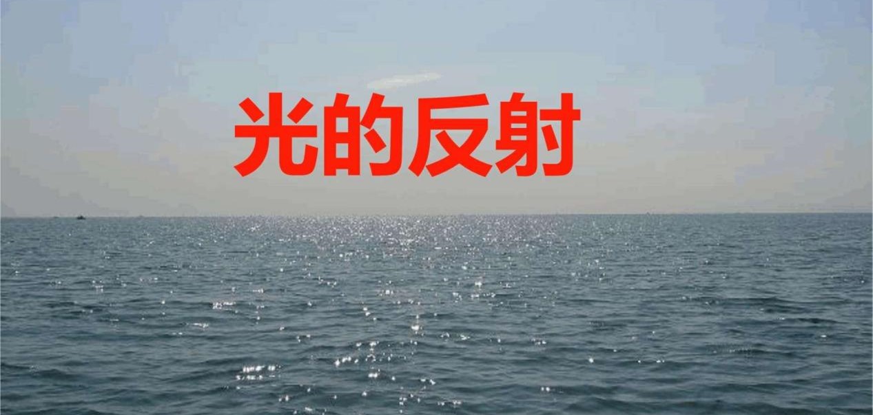 你对原力一无所知,你对人类的力量一无所知