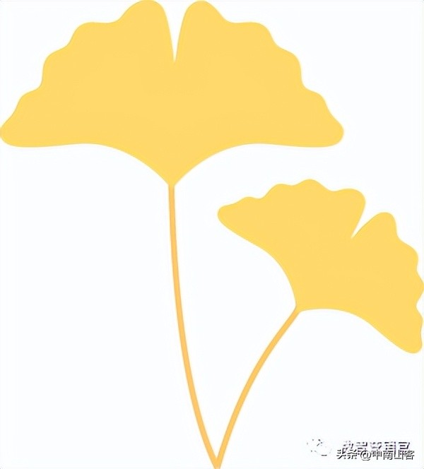 当在社交媒体上发布产品时，结果适得其反