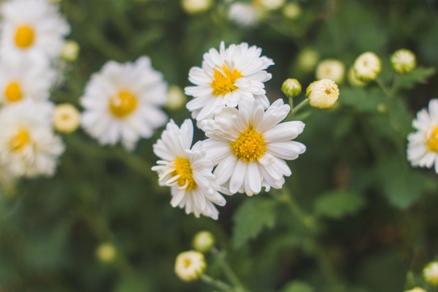 大姨妈量少怎么办,大姨妈来了怎么缓解疼痛