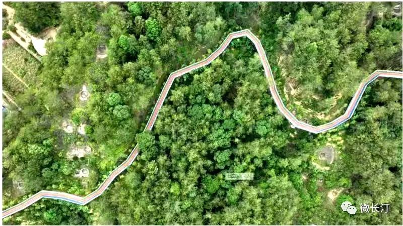 长汀最新投资项目,长汀重点项目最新动态