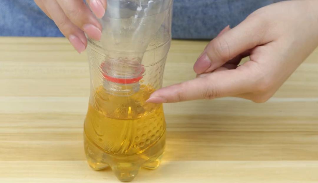 蚊子最怕的不是蚊香而是它,蚊子最大的天敌不是蚊香教你一招