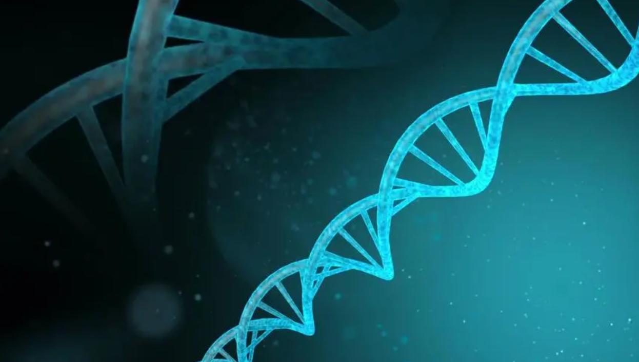 拼多多市值缩水原因有哪些,千亿市值的拼多多真的被高估了吗