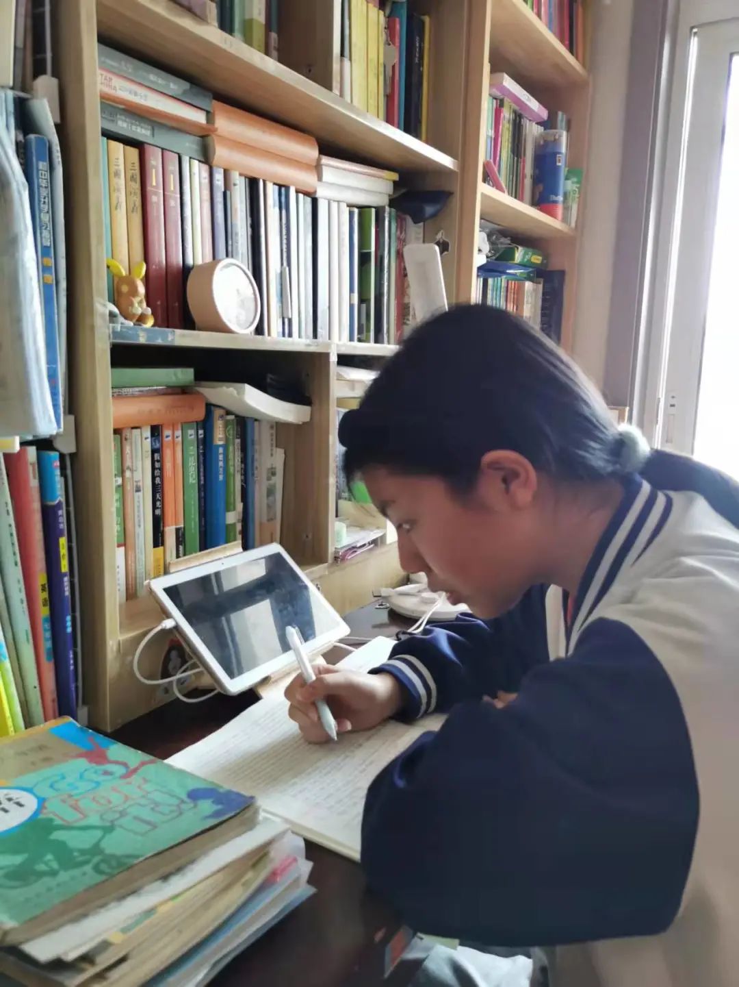 青岛第五十三中学新校区,青岛第五十三中学初中部