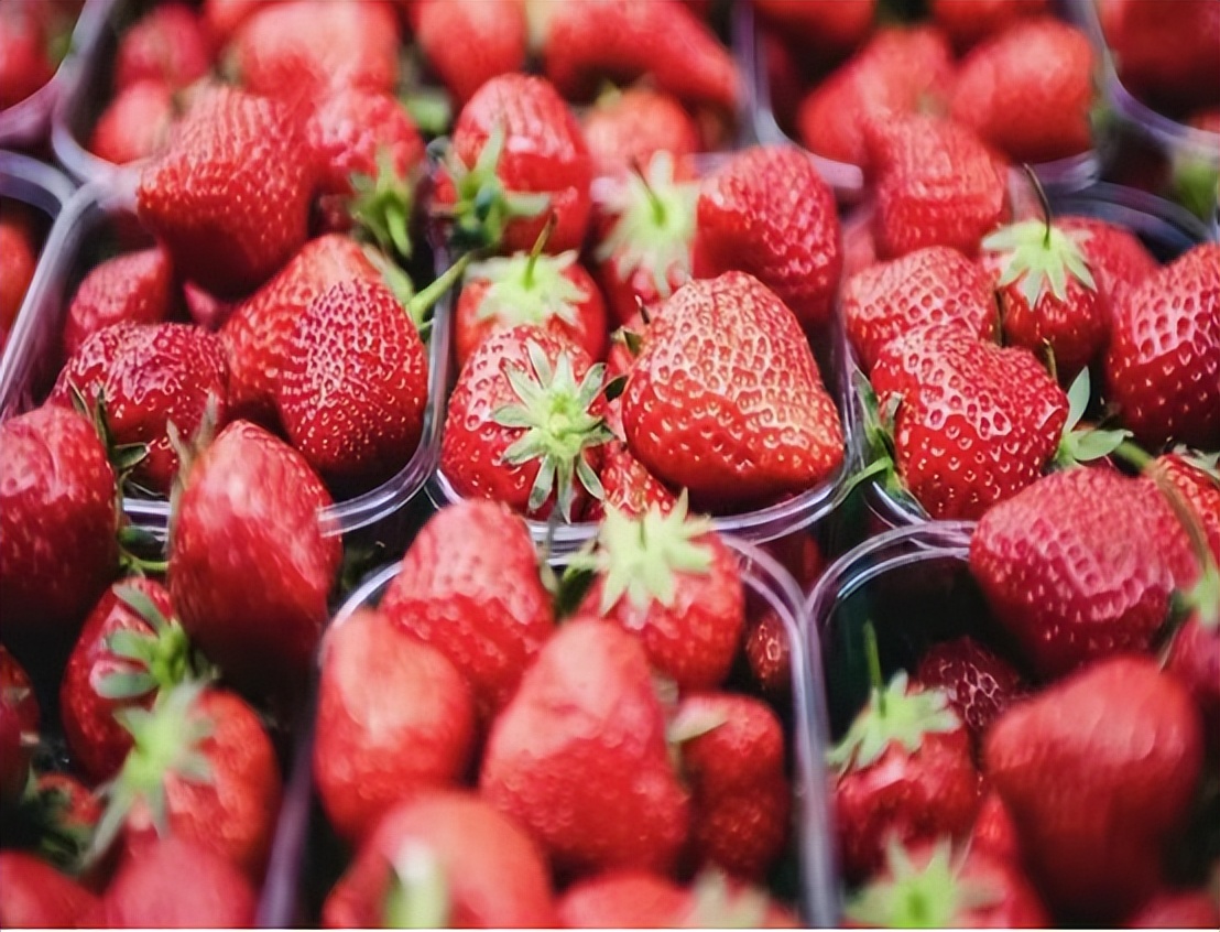 有些苹果很甜糖尿病人可以吃吗,苹果普遍偏甜糖尿病人可以吃吗