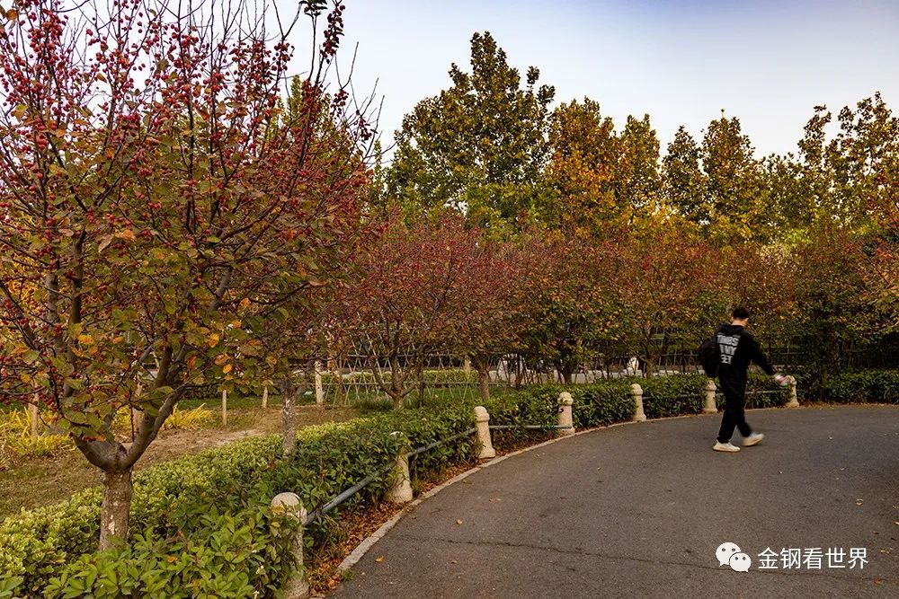 成都南湖主题公园,南湖公园主题乐园