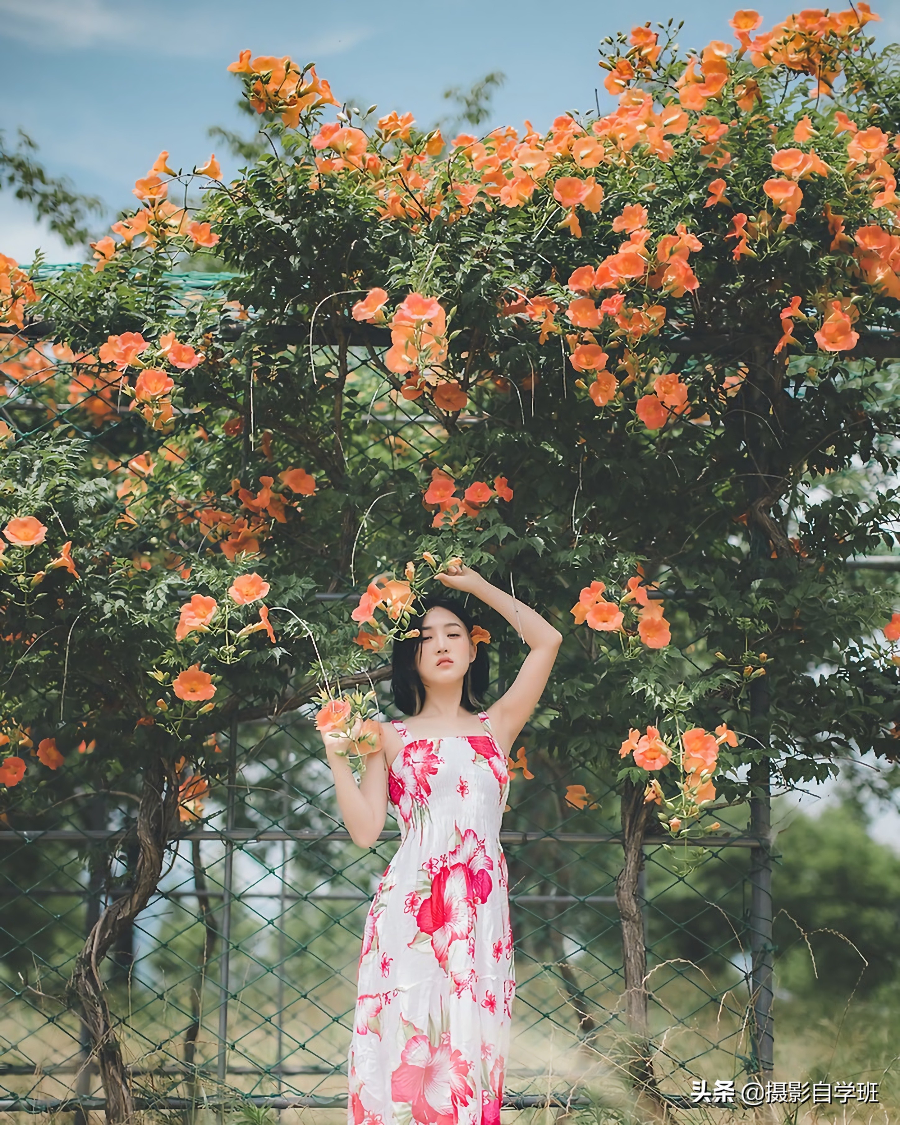 拍照技巧如何拍出长腿,摄影小技巧如何拍出长腿女神