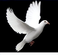 物理二模卷河东,2022中考二模物理试卷及答案