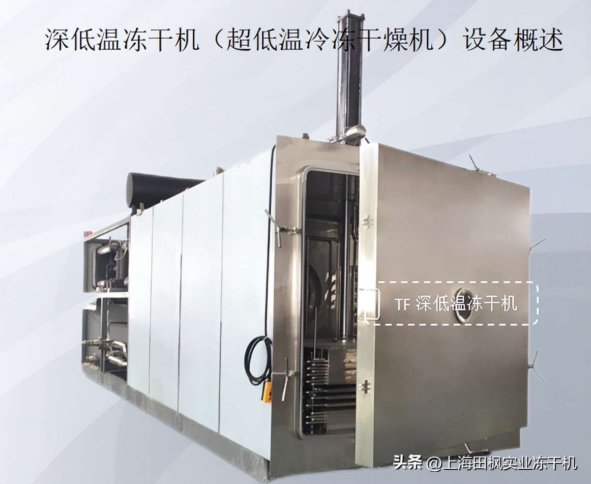 冷冻干燥机冻干标准是什么,深冷炉液氮速冻机