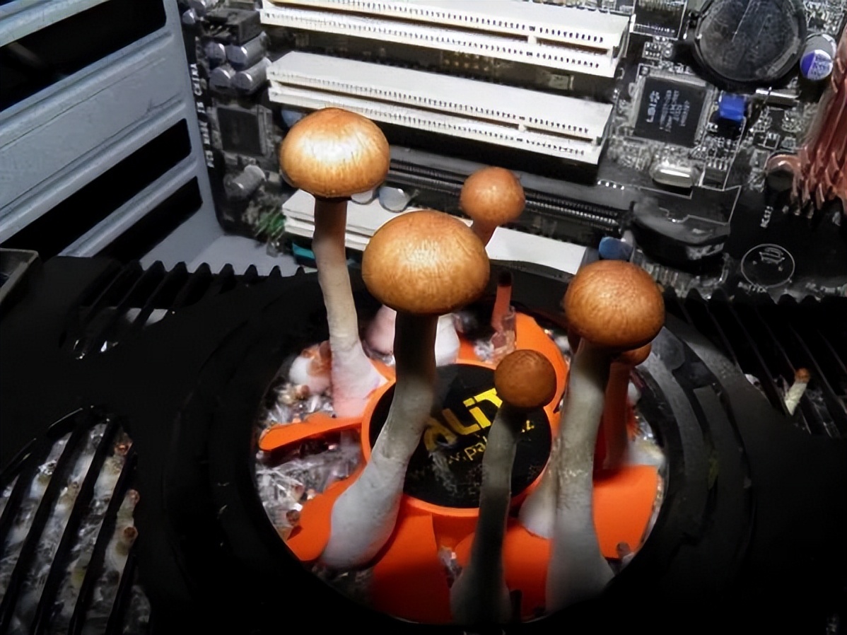 不用花钱就能买到小型电脑,如何买到适合自己的电脑