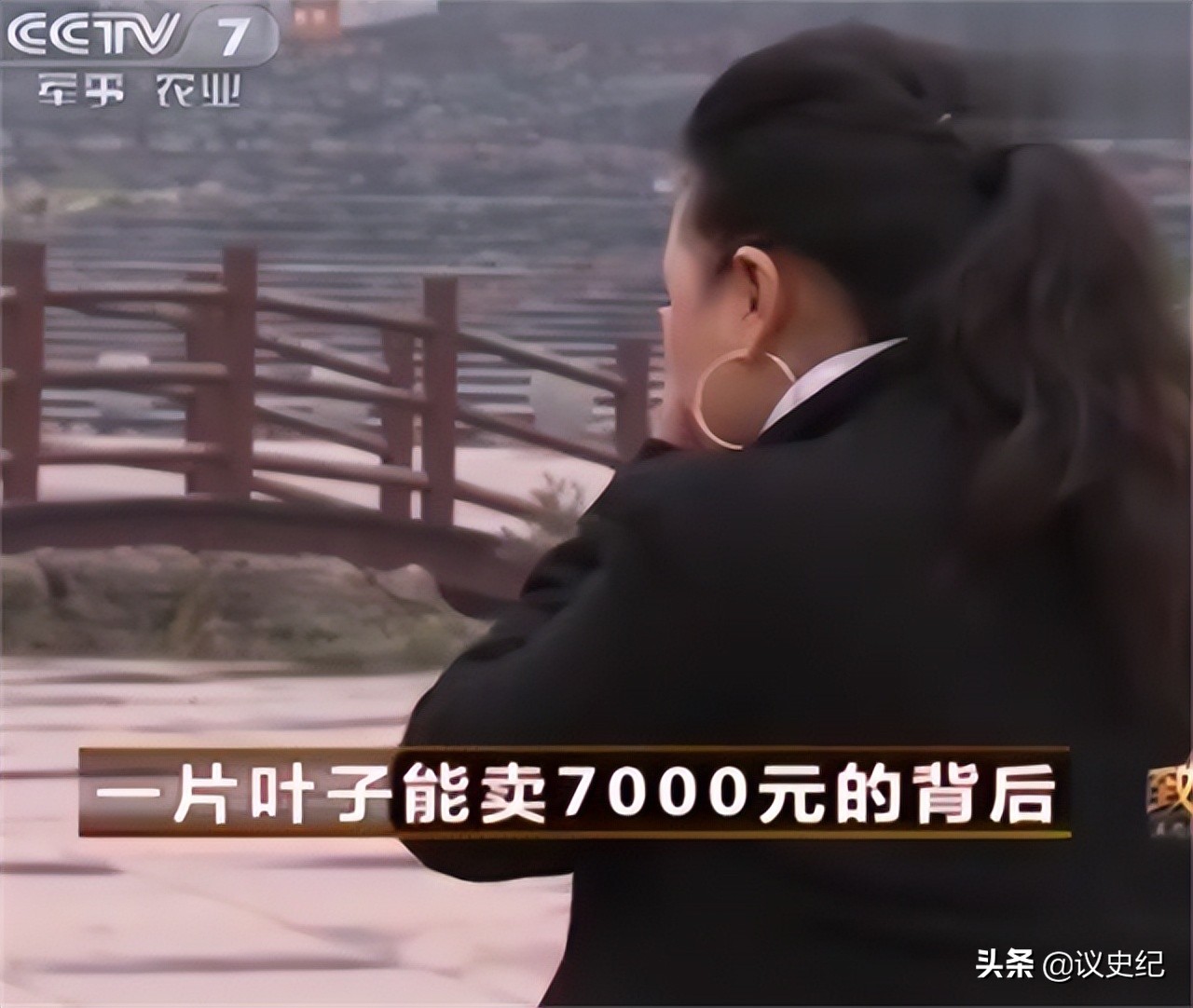 贵州女子一片叶子卖7000,贵州女子用树叶挣大钱