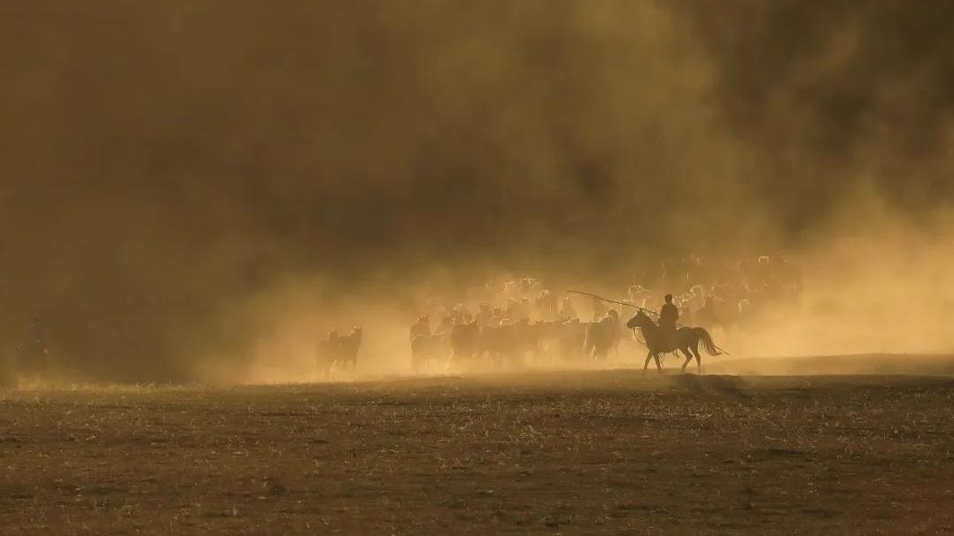 中国快递30年发展,中国快递的成长历程