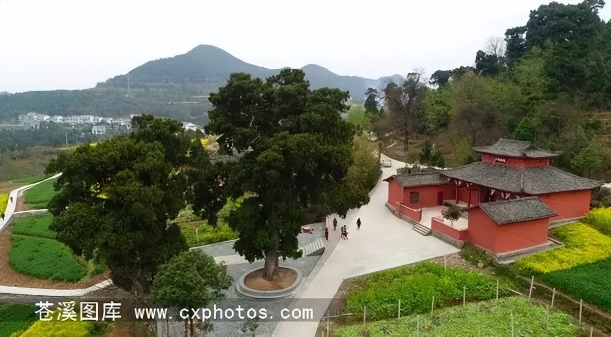 中国庭园简介,中国庭园介绍