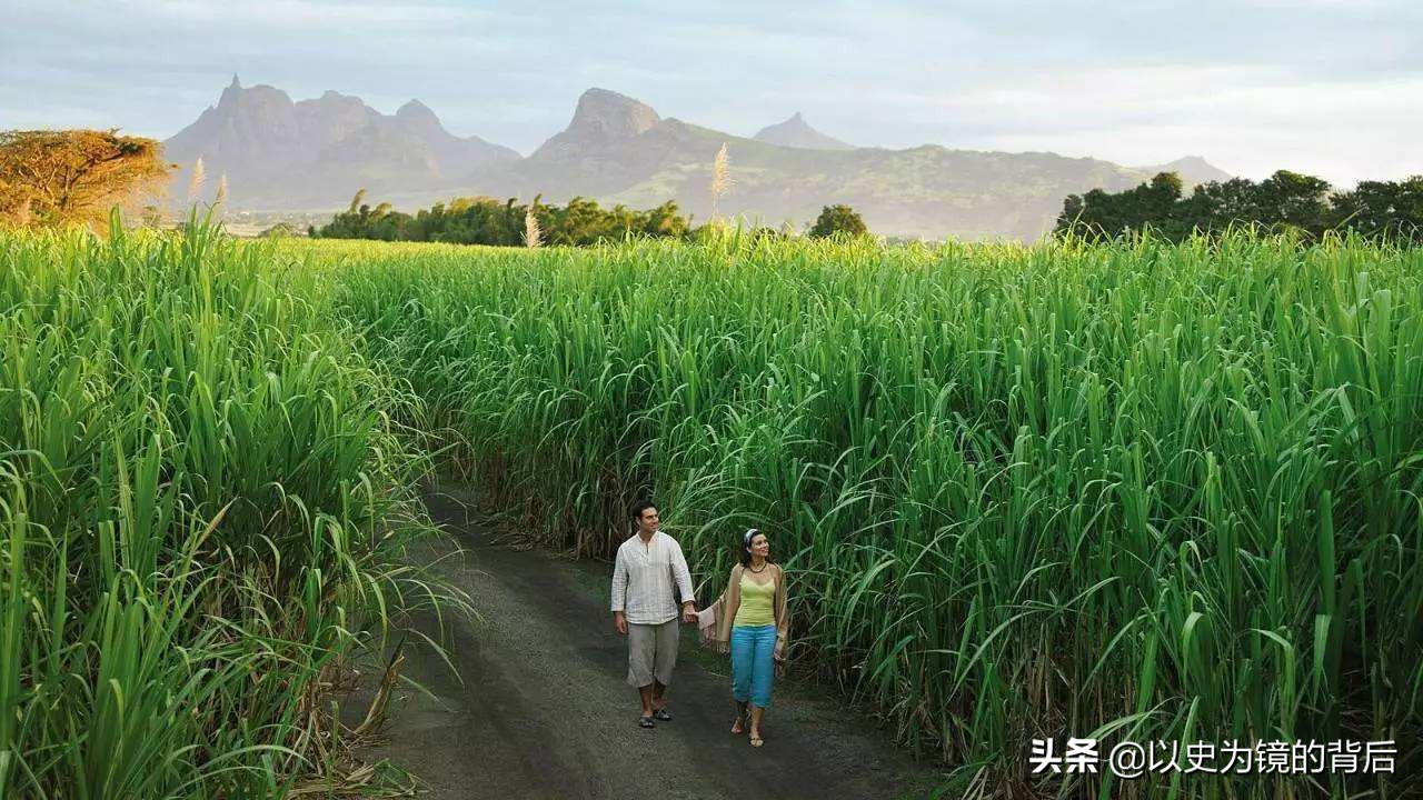 华裔比例最高的非洲国家，人均GDP高达1.1万美元，被誉为非洲瑞士