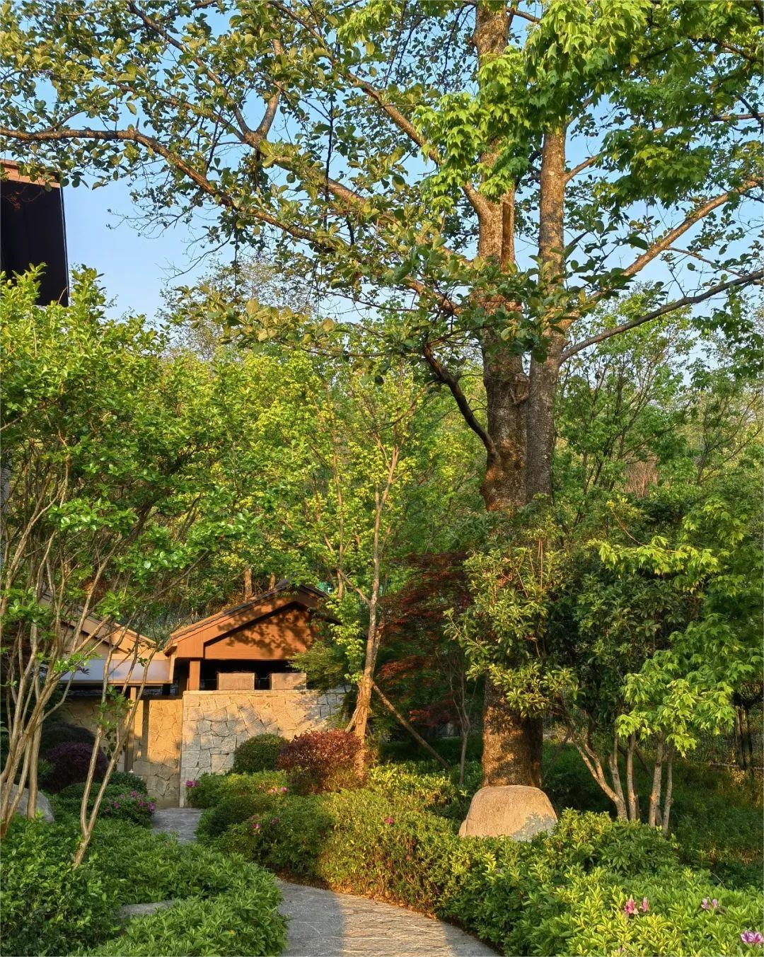 你们都说人多，我却找到一个人少又神仙的地方！