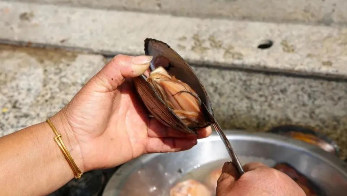 螺蛳和河蚌什么时候最好吃,螺蛳和河蚌哪个更好吃些