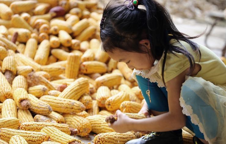 贵州真正的桃花源,中国真实桃花源