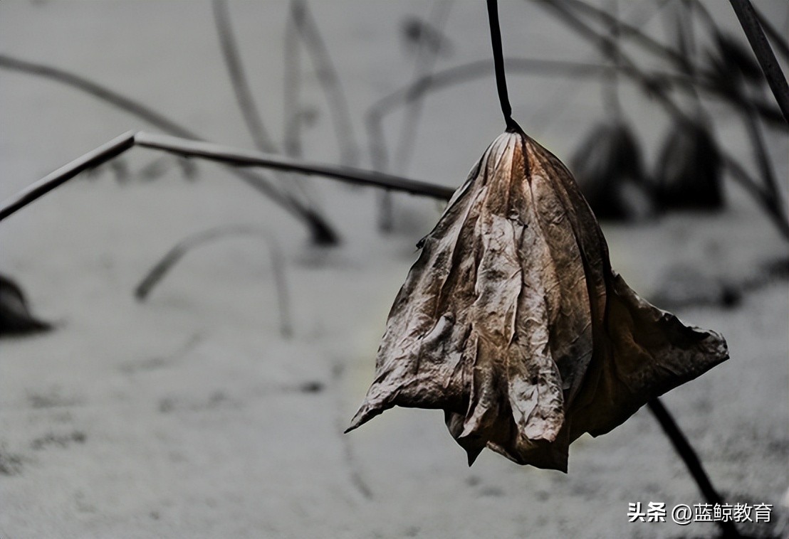 教育硬件掀起浪潮，读书郎摇摇欲坠？