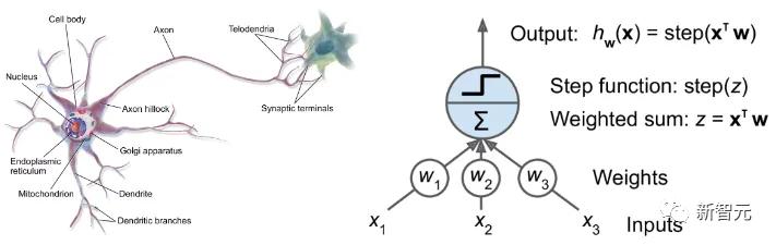 计算机科学近期的主要发展,计算机科学与技术最新排行榜