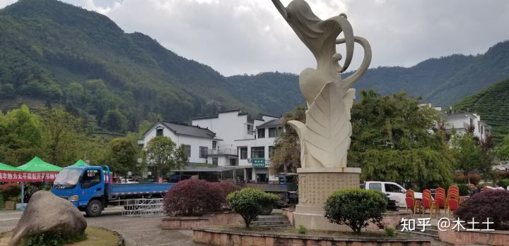 太平猴魁为什么这么贵,太平猴魁1915价格