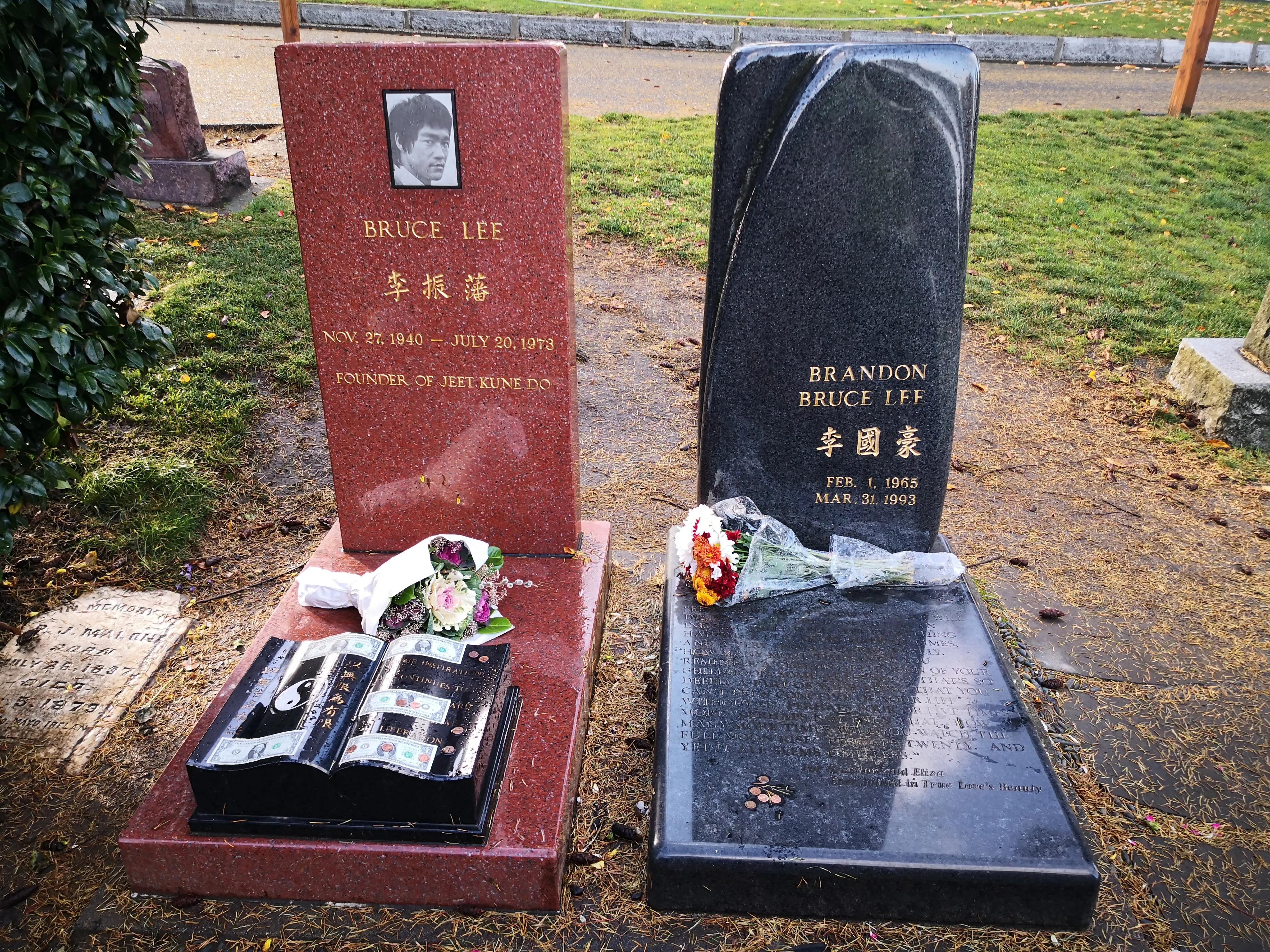 李小龙华人影响力,华人之光成龙有多强