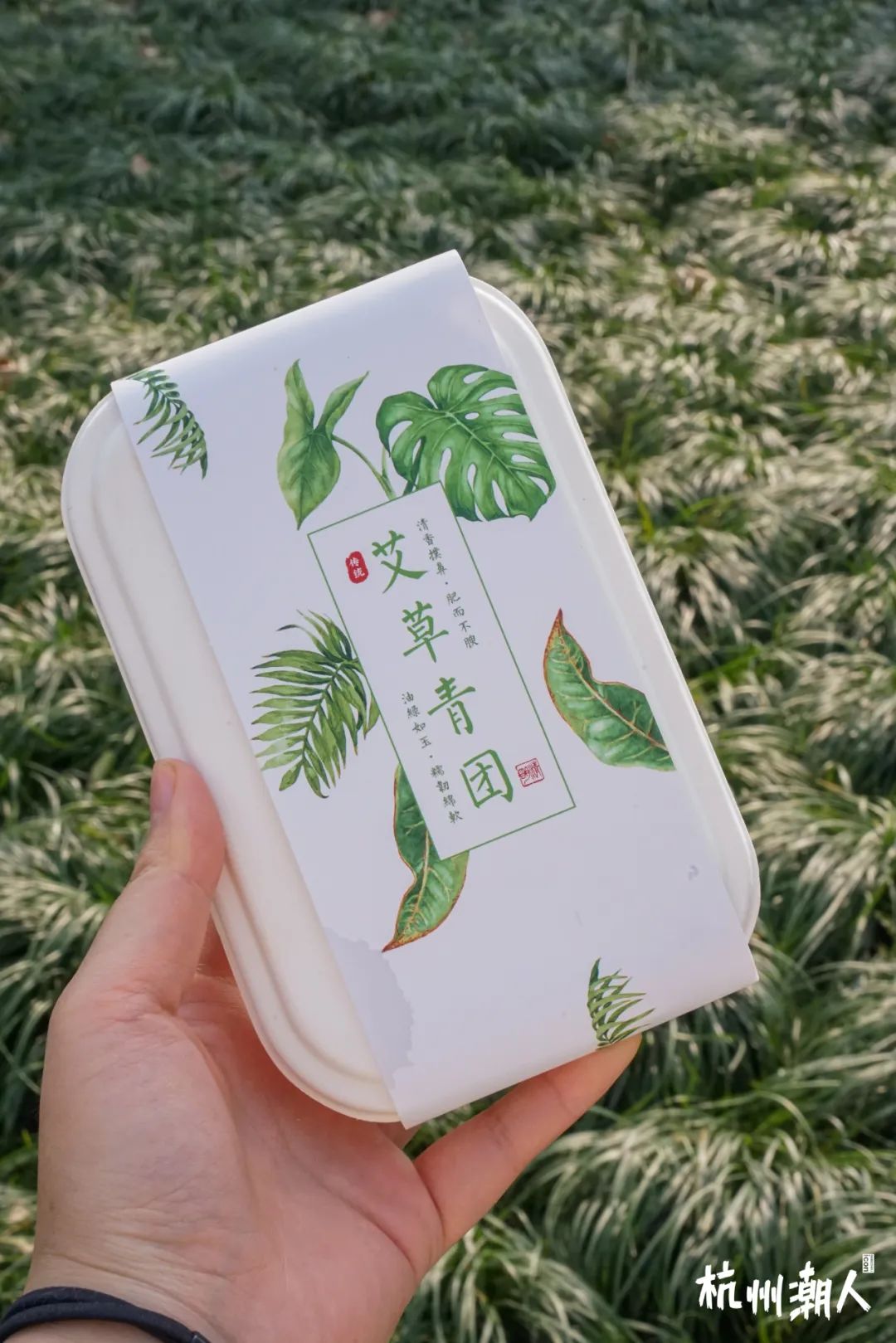 青团推荐哪个牌子,11款超奇葩青团