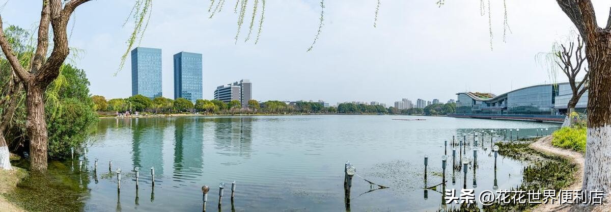 青浦城区和青浦新城板块有啥区别,上海五大新城青浦前景最好