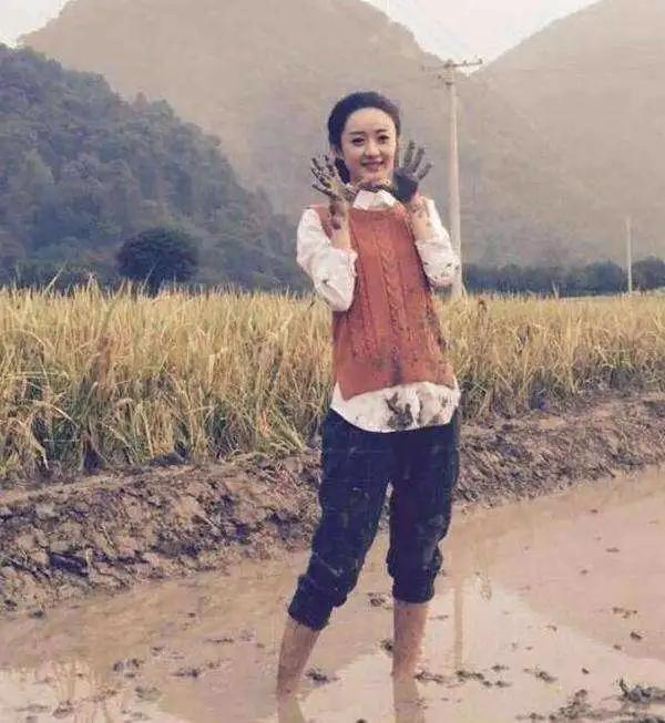 赵丽颖入股几家公司一年赚多少,赵丽颖拥有的公司都有哪些