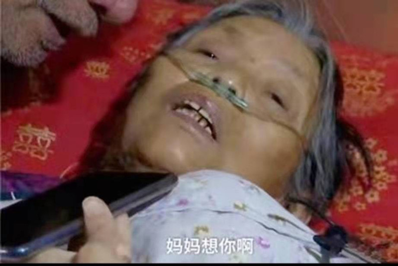 北大寒门博士生王永强下集,北大博士王永强为什么不回家