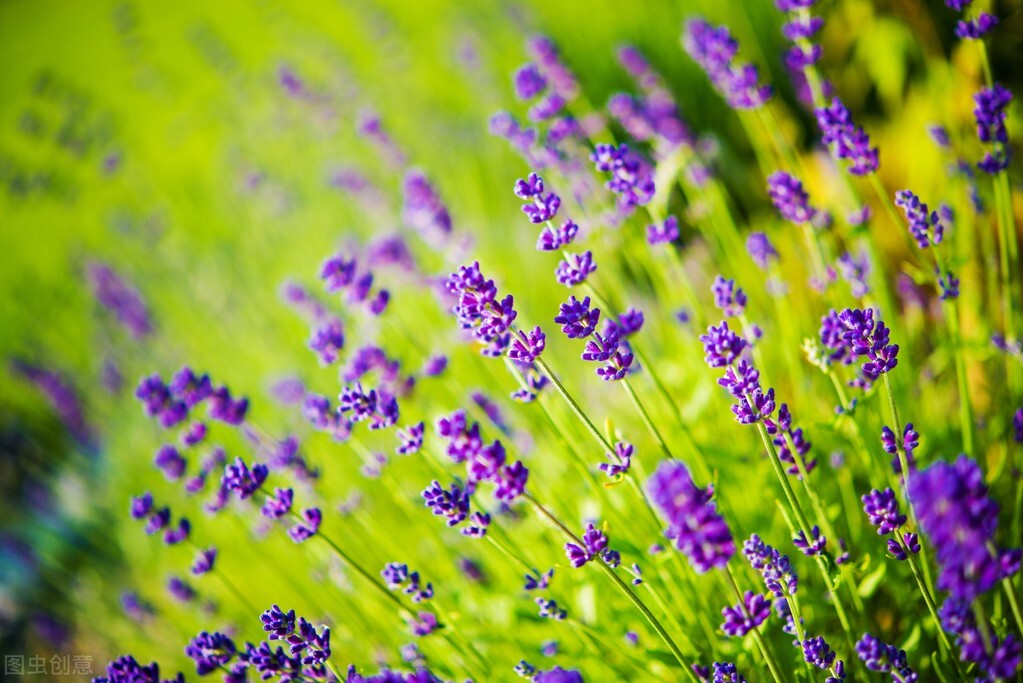 晒朋友圈老婆孩子照片唯美的句子,立冬的唯美句子朋友圈高质量句子