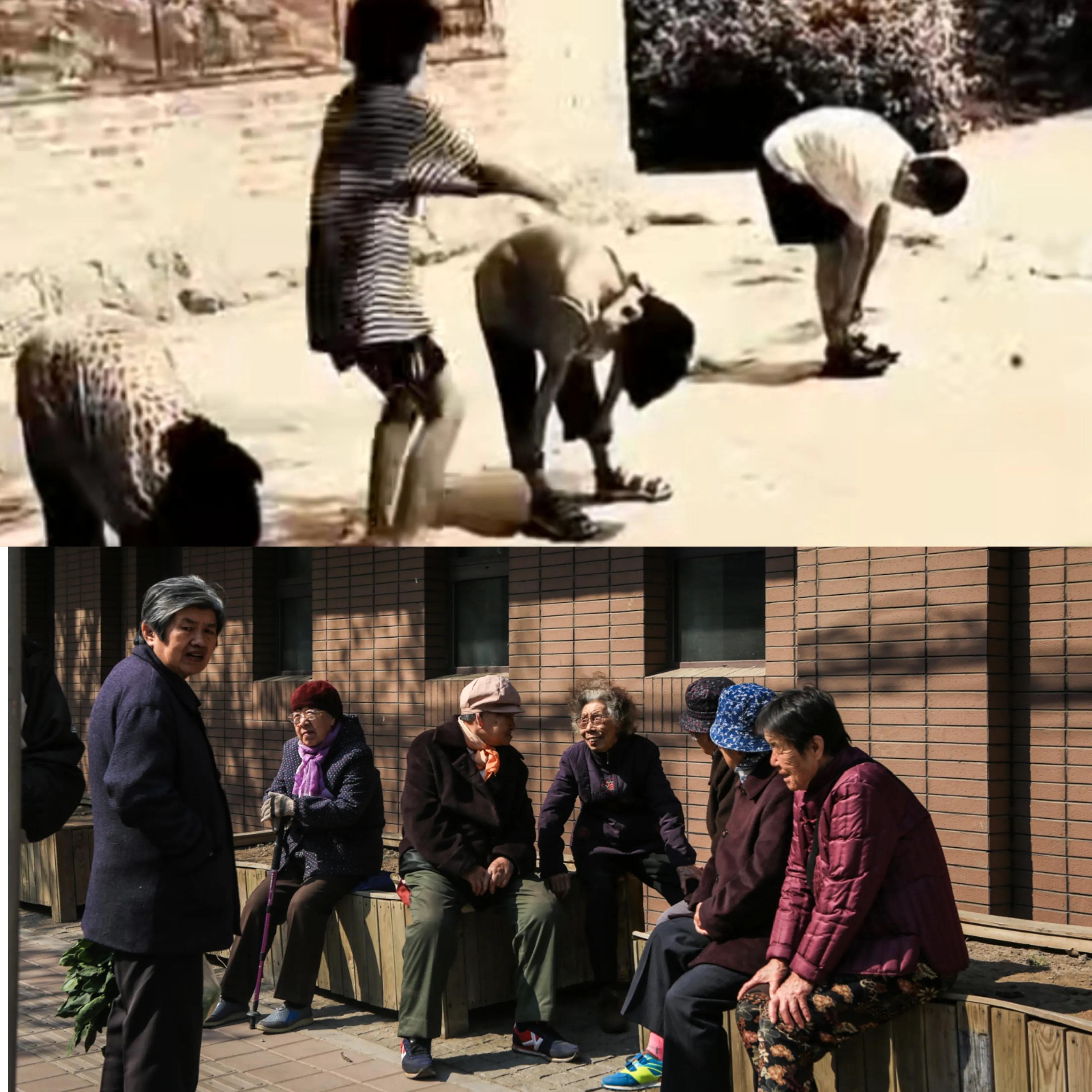 我亲身经历的社会事件作文,社会经历和感悟