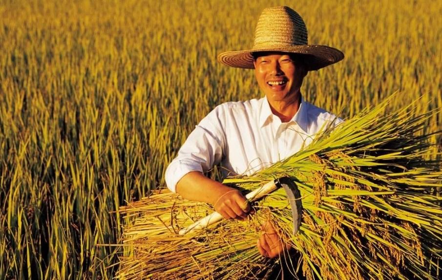 2023年吉林省发放地力补贴了吗,黑龙江省地力补贴2023年发放时间