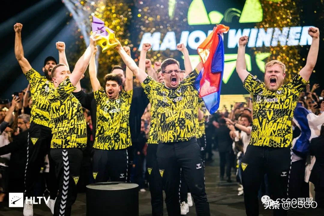 vitality夺冠,vitalitymajor全胜夺冠