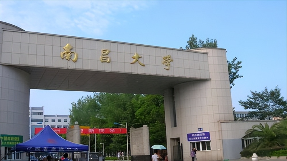为什么不建议给孩子报辅导班,为什么不推荐孩子学计算机