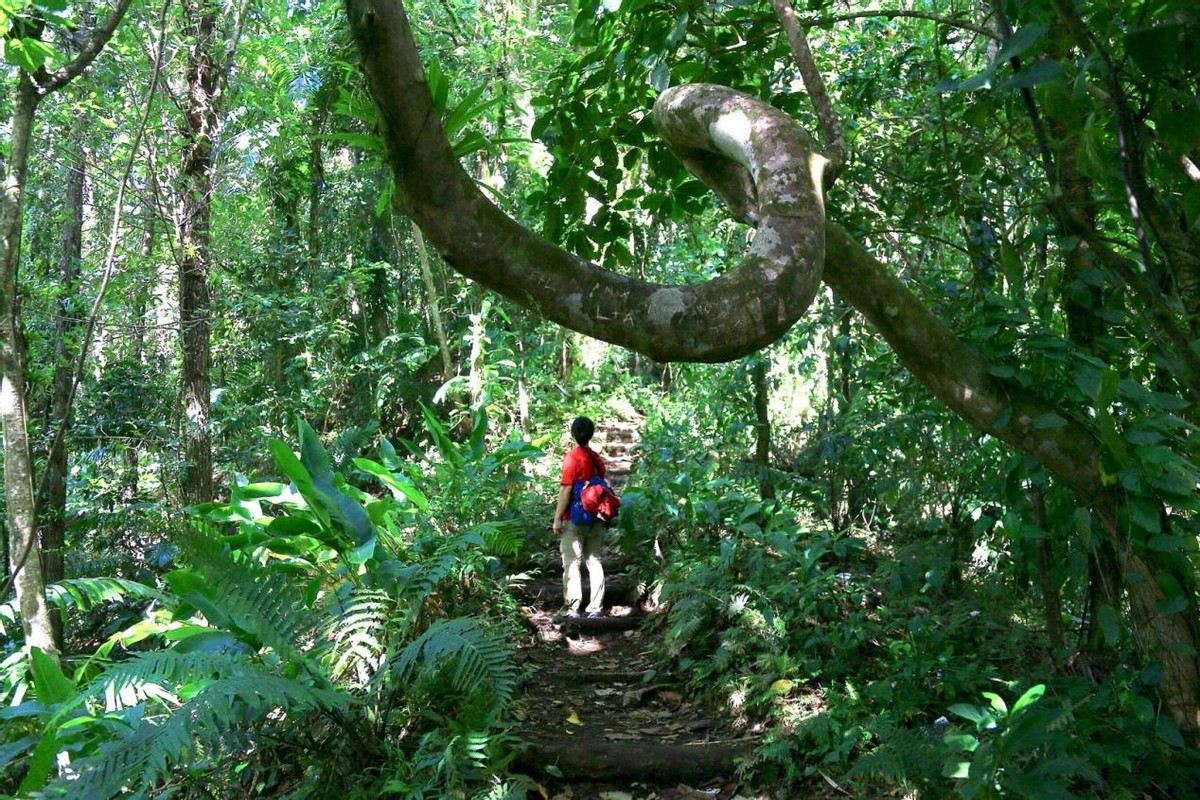 鸡生吞了水蛭会怎么样,鸡吃了水蛭不死吗