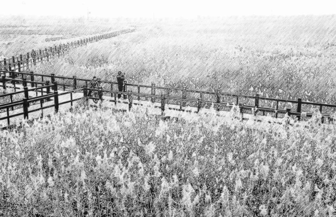 胜芳记忆——我在胜芳的一段生活和学习经历