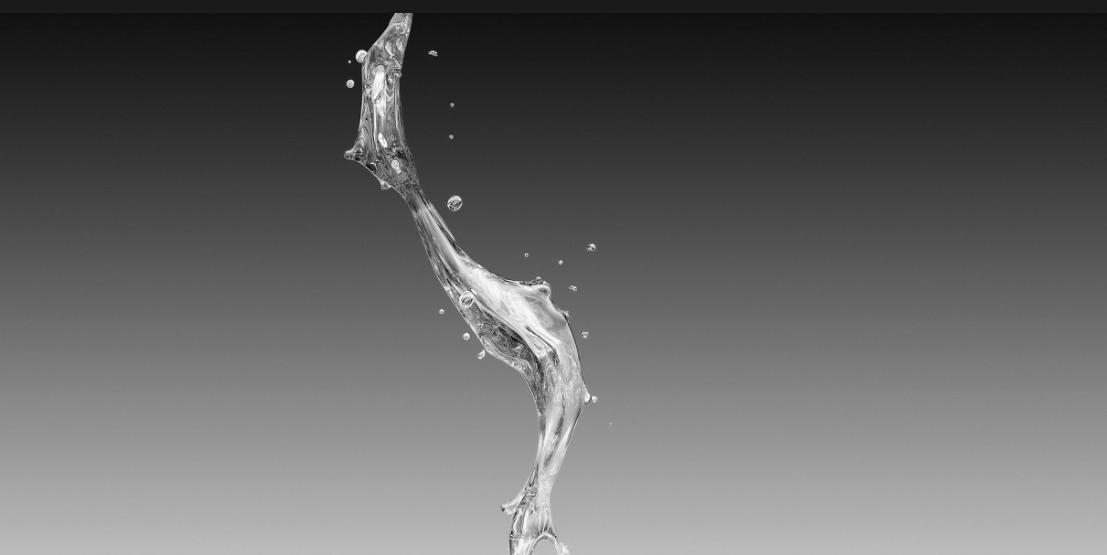 壁虎的危险性有多大,壁虎得名的原因