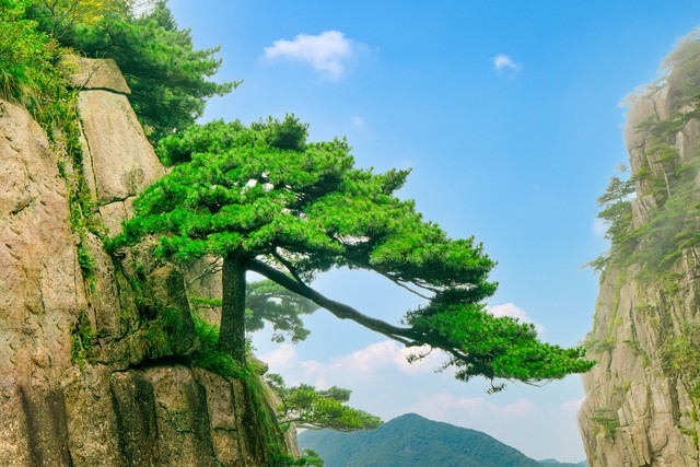 各地旅游形象宣传语原声,各省市旅游宣传语