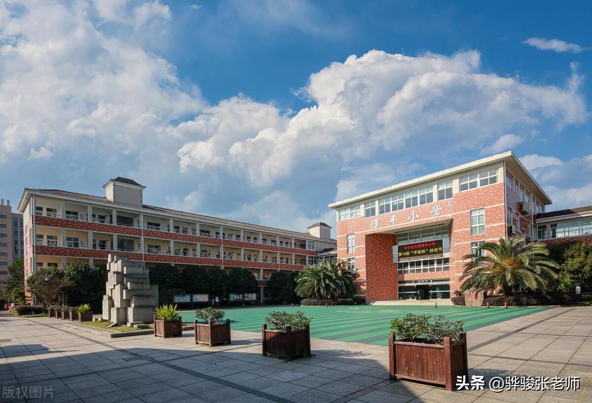 郑州金水前十名重点小学,郑州市金水区小学排名一览表最新